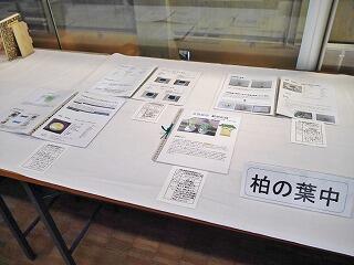 １年生　豆苗栽培記録