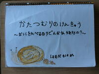 １年　細田千晴さん