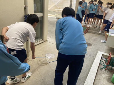 網からでないように慎重に移動させました