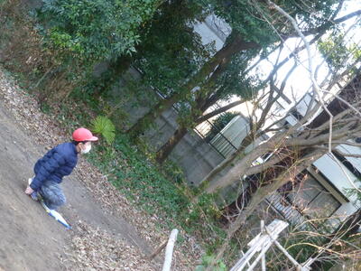 1人でマイツリーと向き合っています