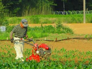 トウモロコシの大山さん