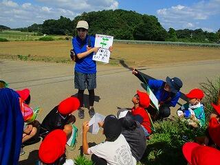 観察のポイント確認