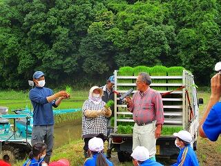 地域の方が田植えの説明をしてくださいました。
