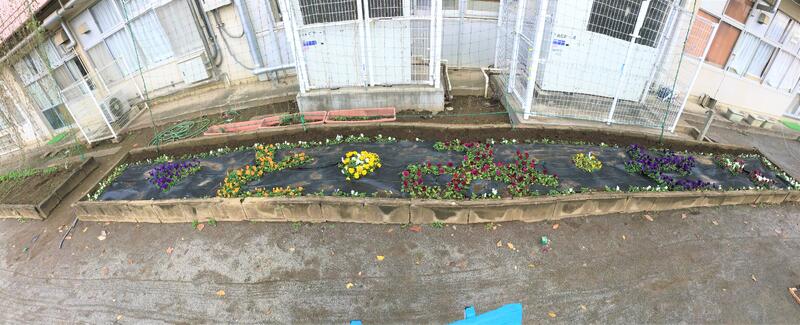 ドリームフラワープロジェクト